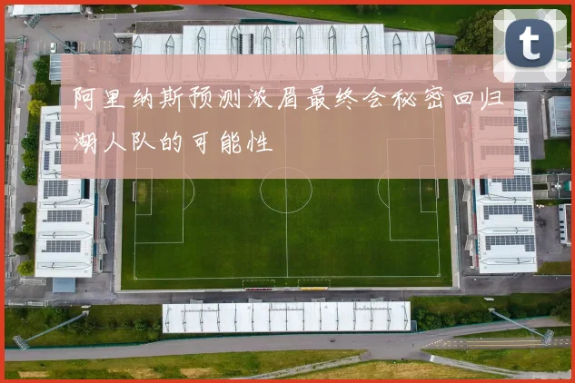 阿里纳斯预测浓眉最终会秘密回归湖人队的可能性